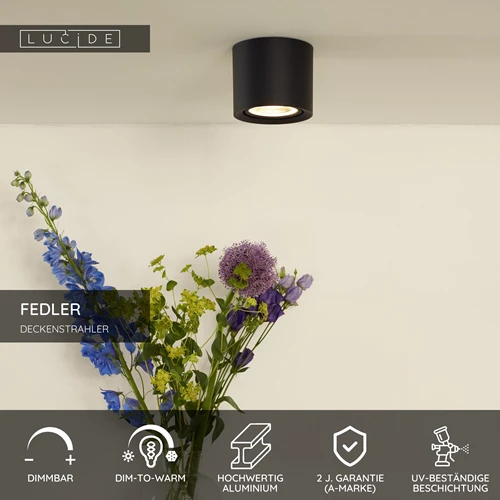 Lucide FEDLER - Deckenstrahler - Ø 12 cm - LED Dim to warm - GU10 (ES111) - 1x12W 2200K/3000K - Schwarz - USP